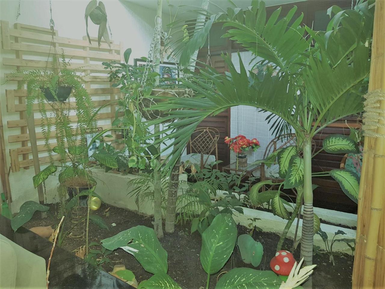 Pousada Terra Garrida Maceio  Ngoại thất bức ảnh